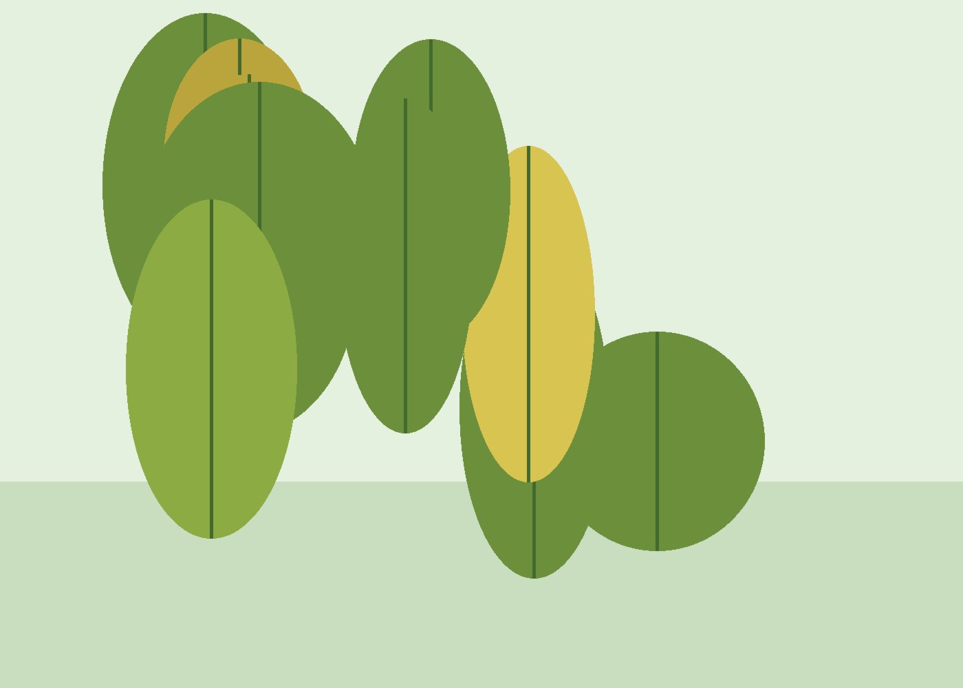 Plant symptom leaves
